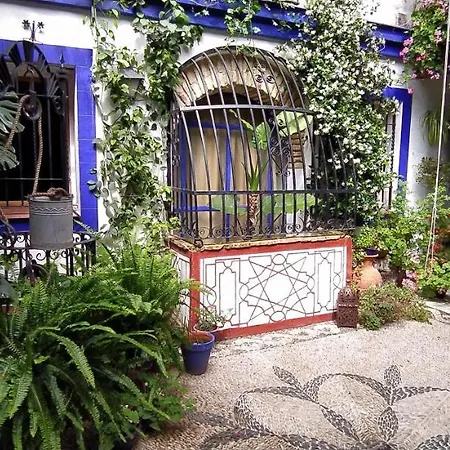 Apartamento Casa Típica De *