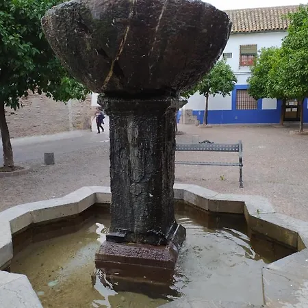 Casa Tipica De Appartement *