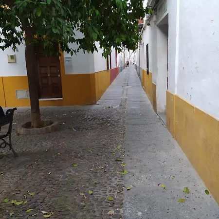 Apartamento Casa Típica De *