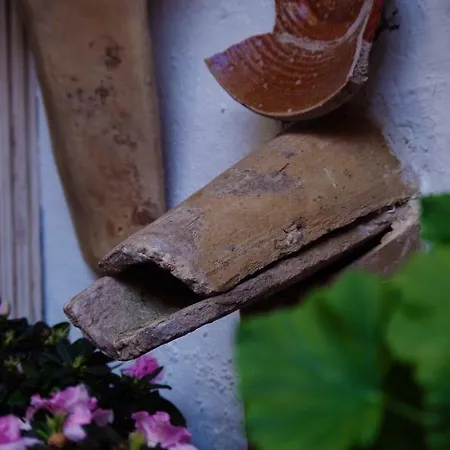 Casa Tipica De Córdoba