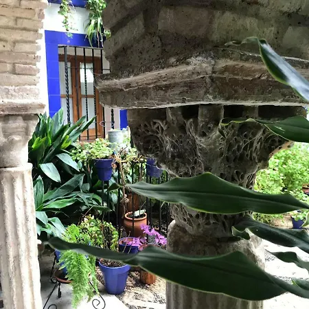 Apartamento Casa Típica De Córdoba
