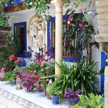 Apartment Casa Tipica De