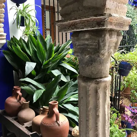 Casa Tipica De Cordoba