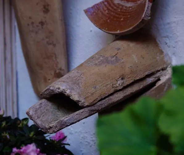 Casa Tipica De Cordoba