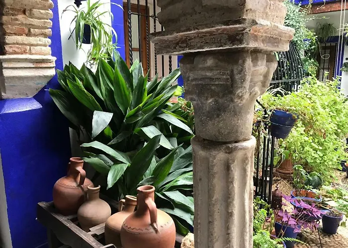 Casa Tipica De Cordoba